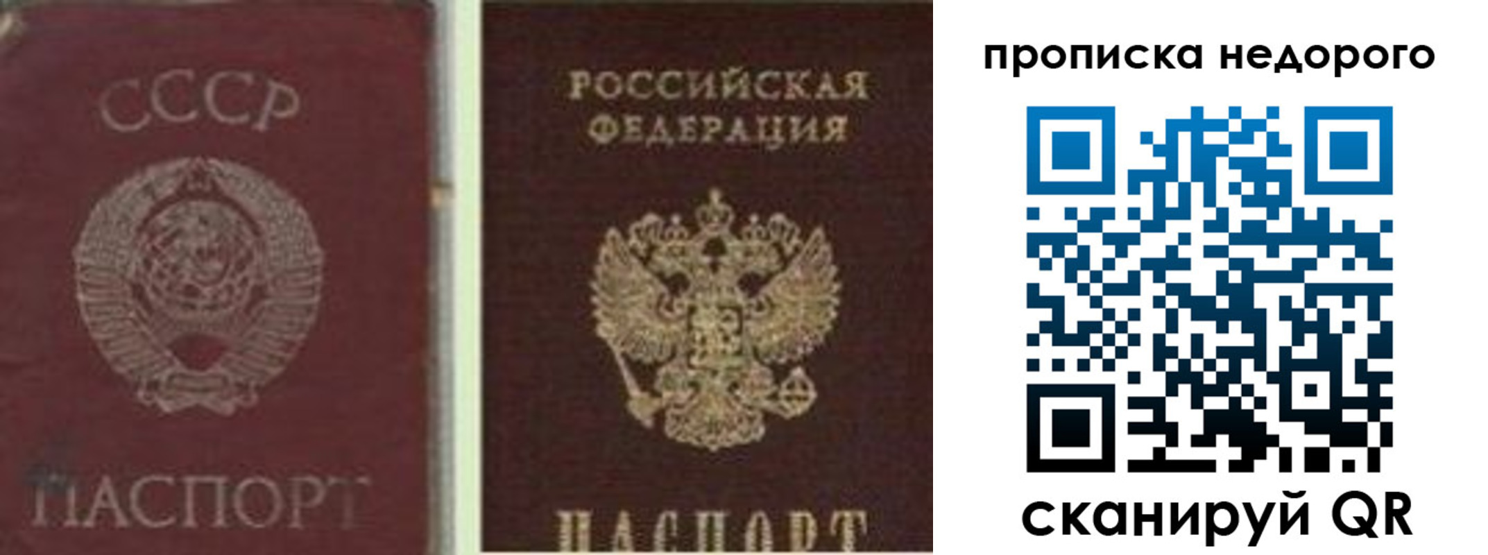 временная регистрация поиск в Коле